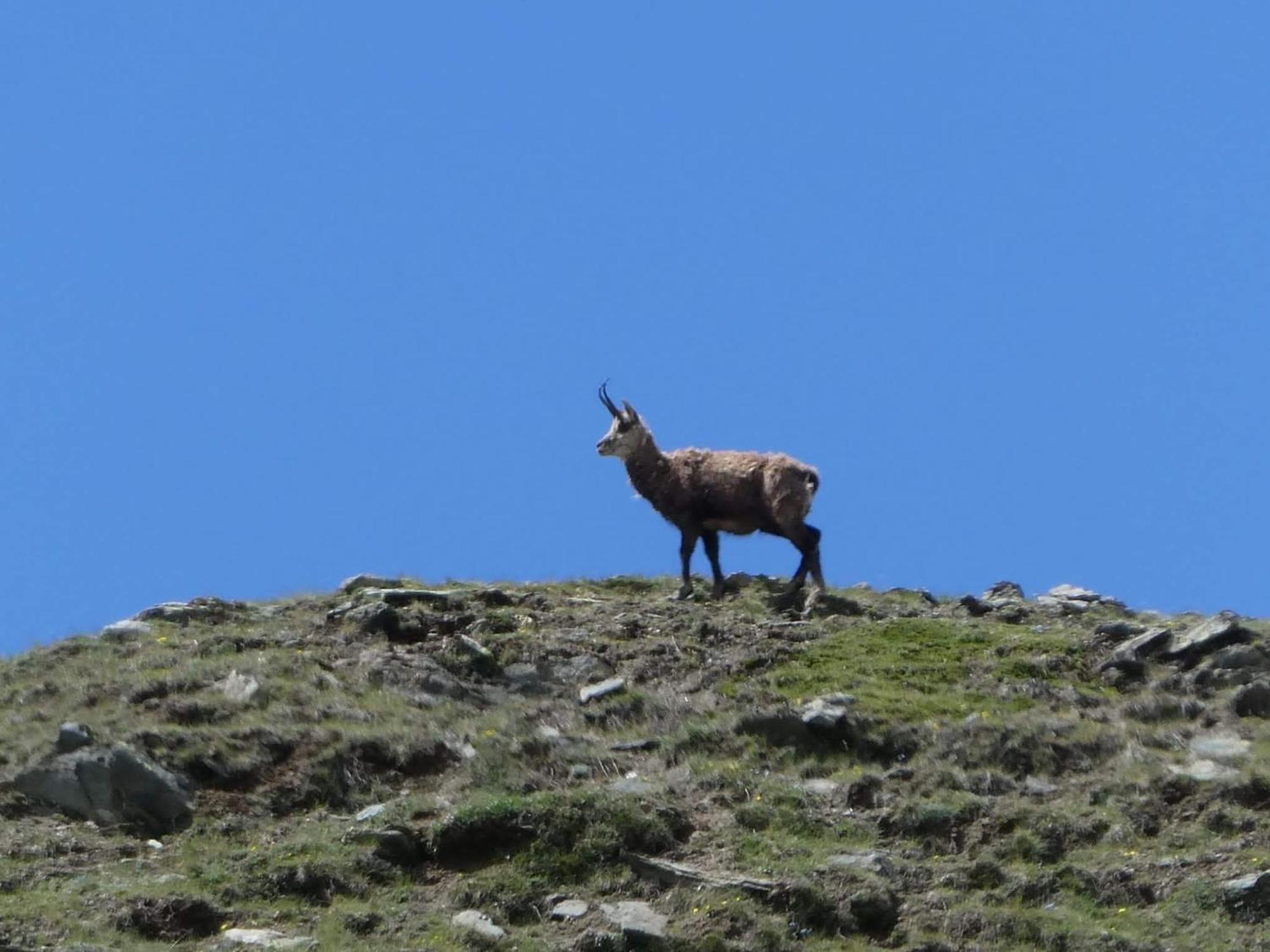 Aosta Maisongnemaz Екстериор снимка