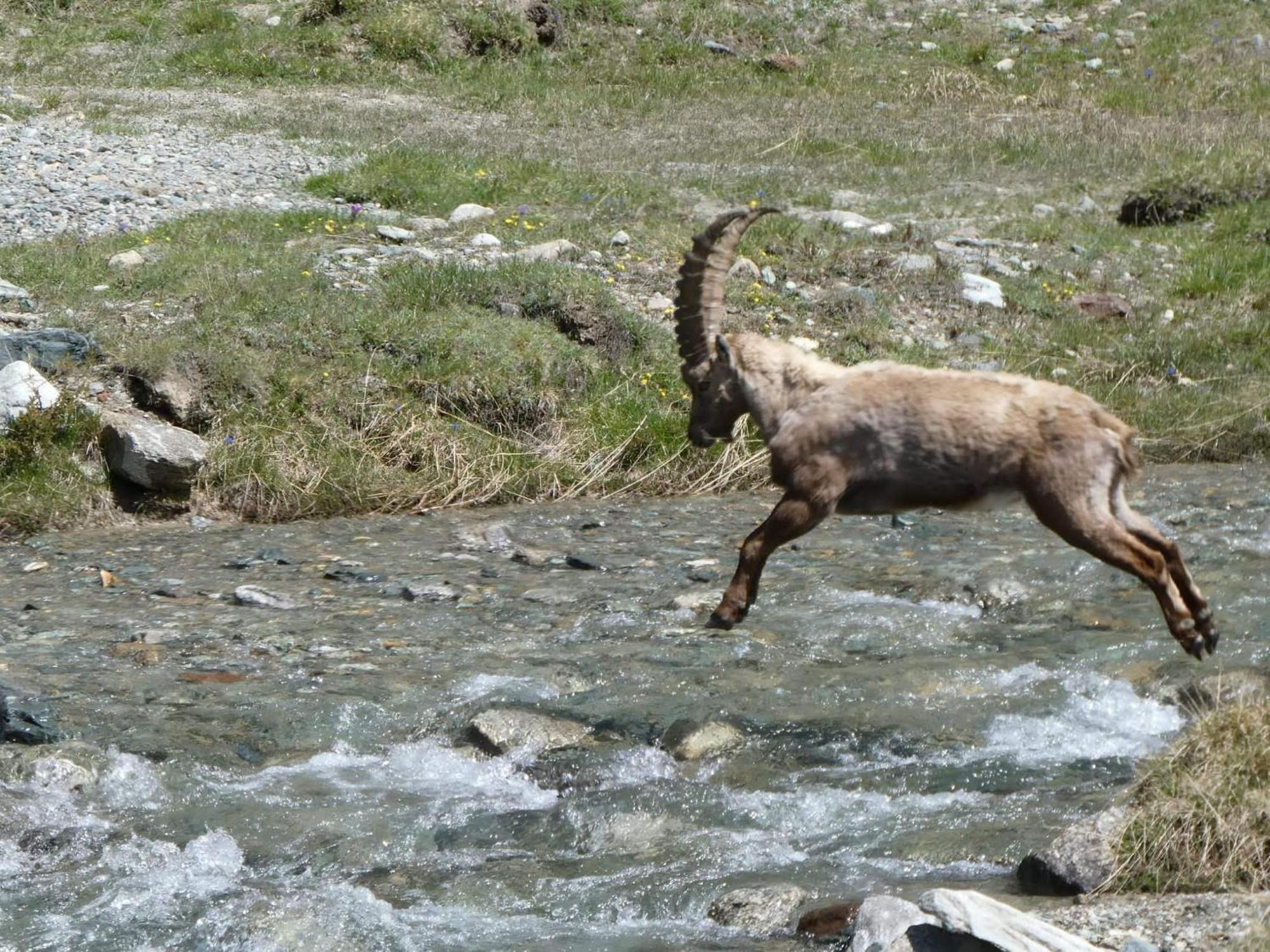 Aosta Maisongnemaz Екстериор снимка
